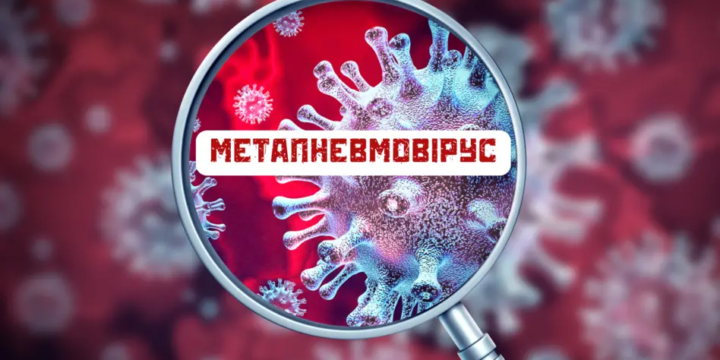 Метапневмовірусна інфекція