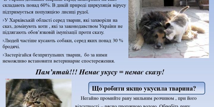 СКАЗ